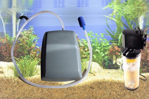 Aquarium Pumpe