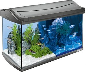 Tetra AquaArt LED Aquarium-Komplett-Set 60 Liter - inklusive LED-Beleuchtung