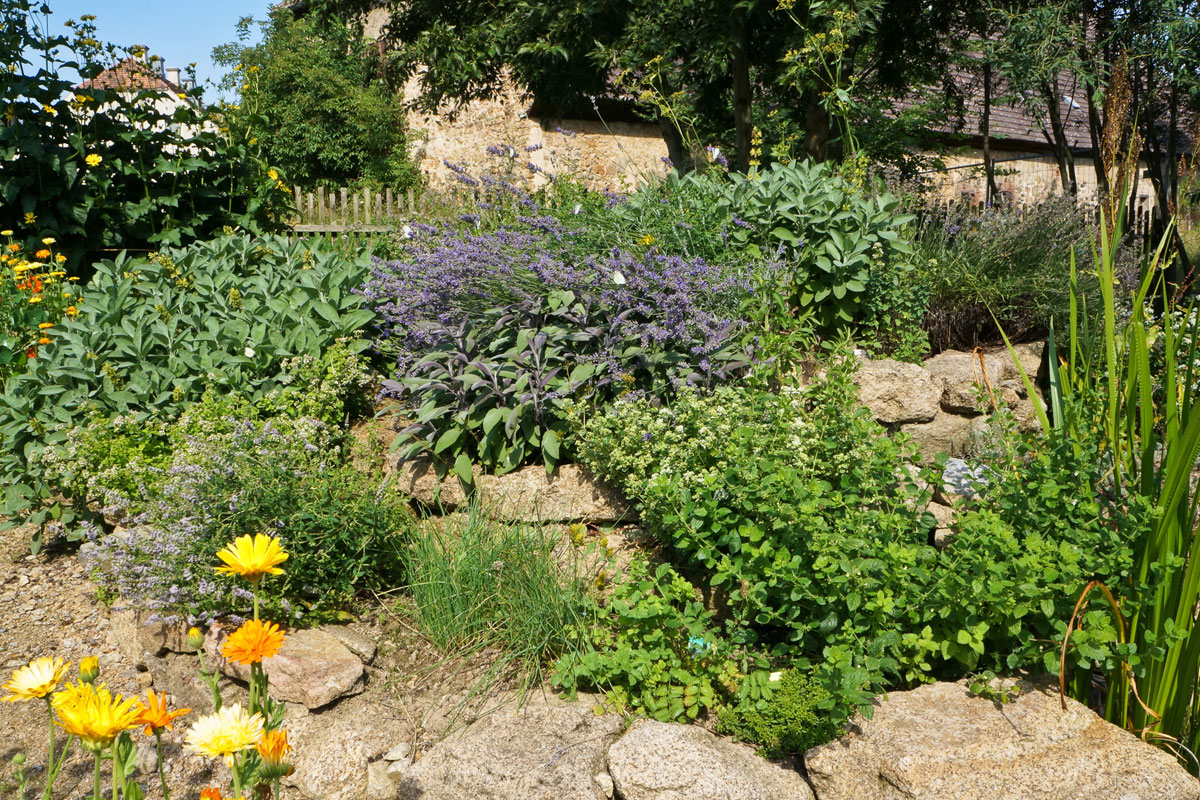 Der Kräutergarten Aromatherapie im heimischen Grün Garten diybook.at