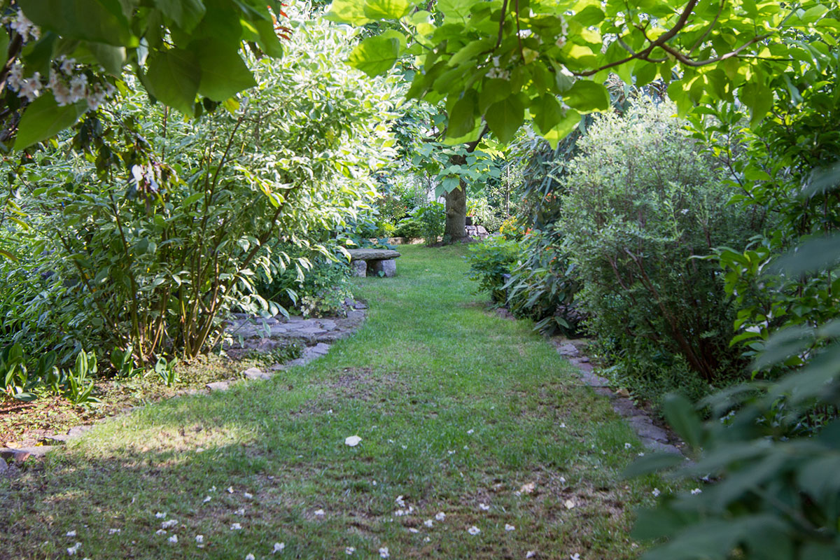 Der Schattengarten Buntes Leben im Zwielicht Garten