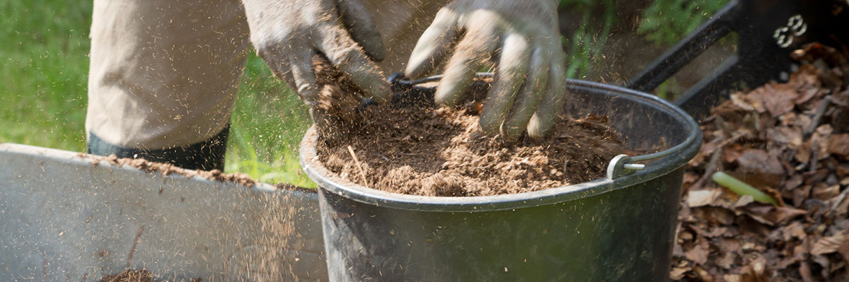 Humus selber machen auch ohne Kompost Garten diybook.at