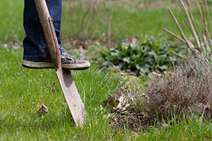 Der Garten im April Tipps und Tricks vom Gärtner diybook.at