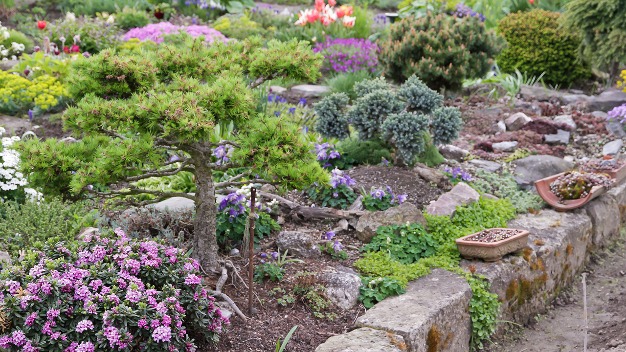 Ich hab den Garten schön! – Gartenstile und ihre Wirkung in Ratgeber