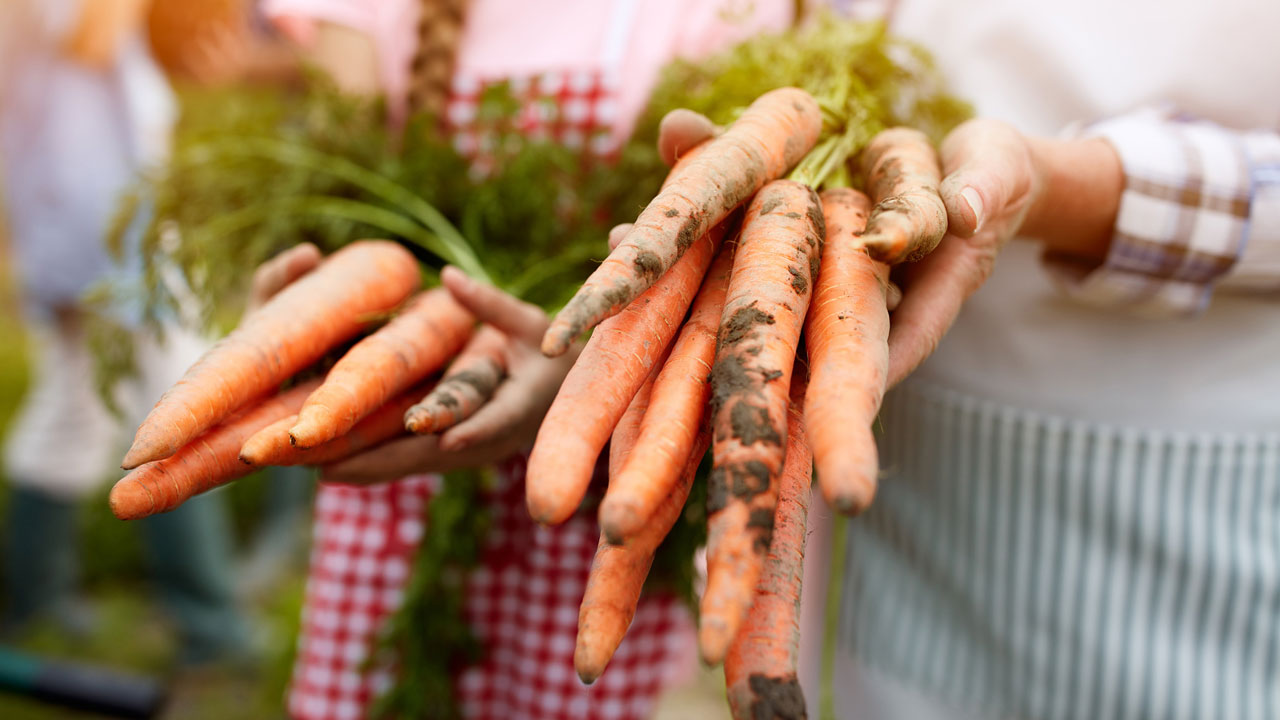 Trend Warum altes Gemüse so richtig fit macht in Garten, Wohnen