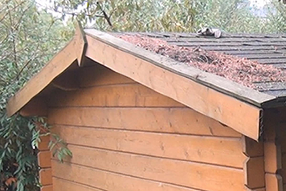 Gartenhaus Neu Streichen Grundieren Und Lasieren Anleitung