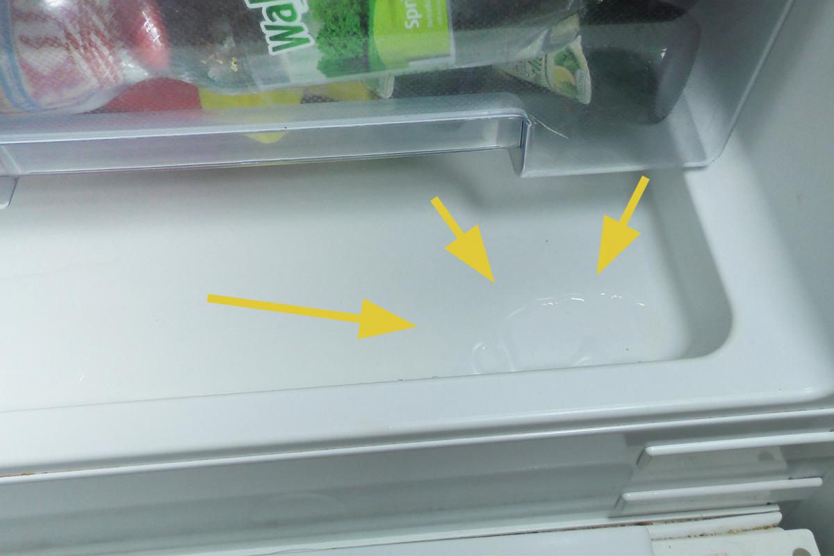 Открыли холодильник а там крошечная