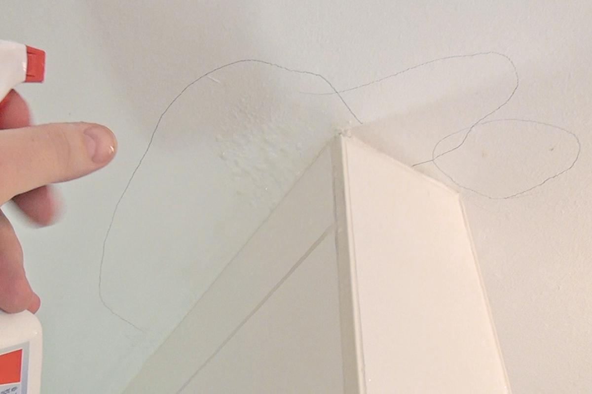 Schimmel an der Decke beseitigen - Anleitung & Tipps vom Maler ... Schimmel an der Decke beseitigen - Anleitung & Tipps vom Maler ...