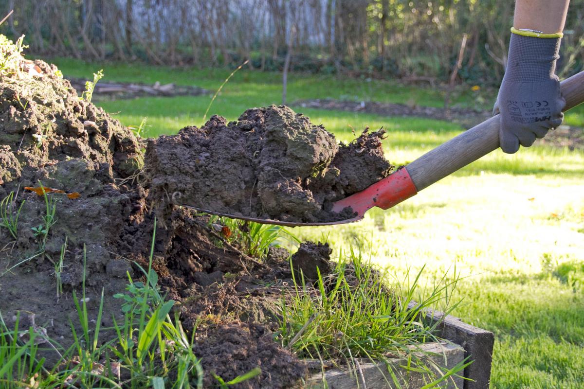 Erdhaufen Im Garten Gartengestaltung Idee