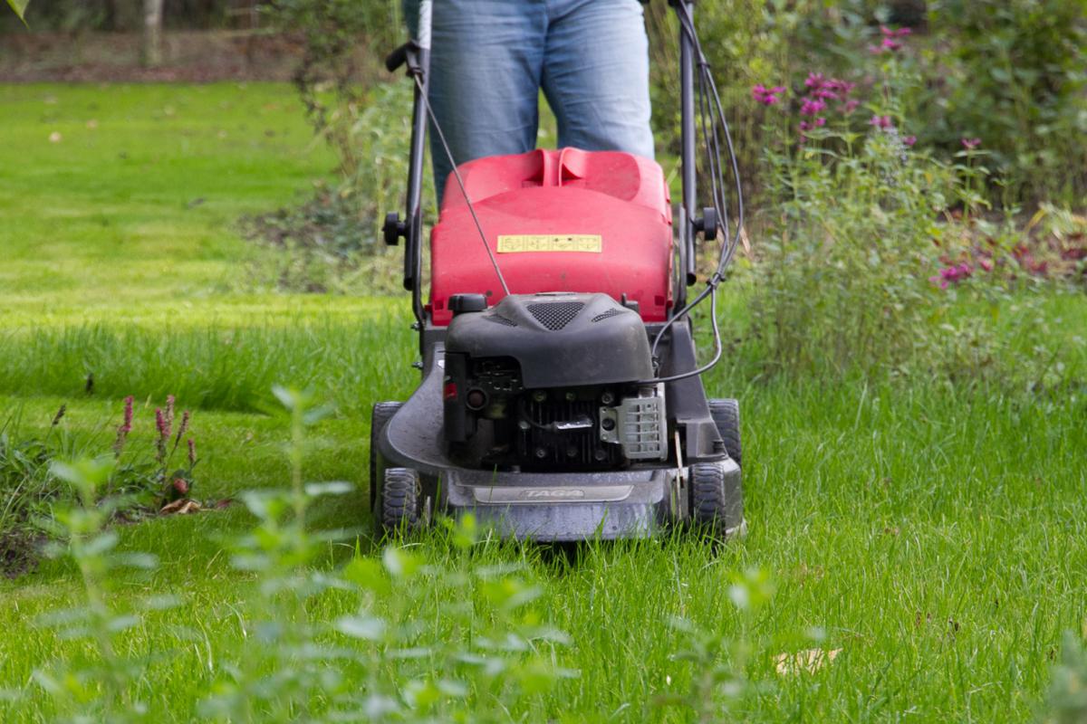 Richtige Rasenpflege So Behalt Der Rasen Seine Pracht Ratgeber