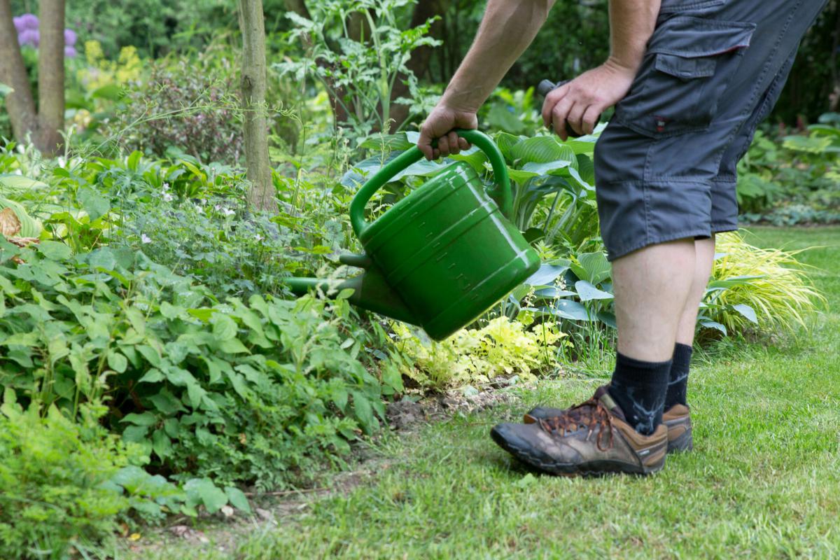 Nematoden Schnecken Bekampfen Mit Hilfe Der Natur Garten