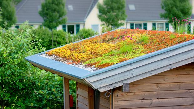 Garten mit Aussicht: Das Gründach Garten diybook at