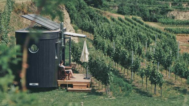 Tiny House zwischen Weinstöcken