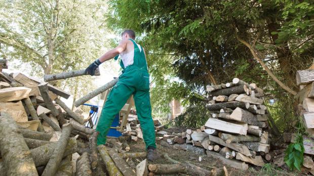 Holz bergen im Wald