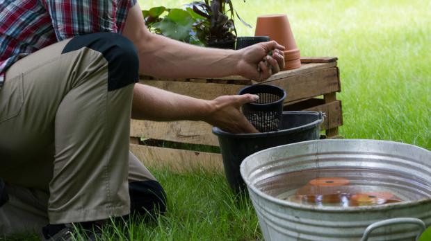 Wasserpflanzen-Töpfe mit Kies befüllen