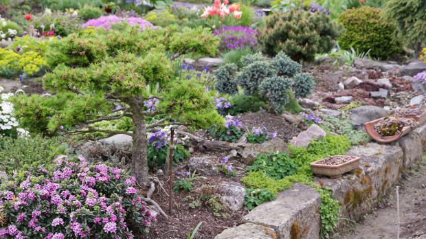 Der Steingarten Solide Gartengestaltung. Tipps & Tricks vom Gärtner