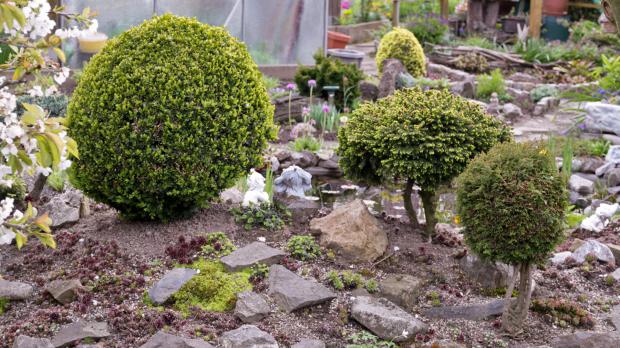 Steingarten gestalten – Tipps für das eigene Steinbeet - Garten ... Steingarten gestalten – Tipps für das eigene Steinbeet - Garten ...