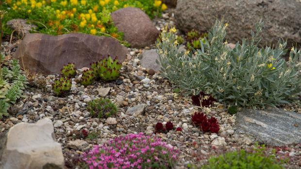 Steingarten gestalten – Tipps für das eigene Steinbeet - Garten ... Steingarten gestalten – Tipps für das eigene Steinbeet - Garten ...