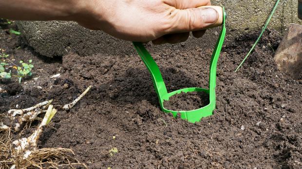 Mit Zwiebelpflanzer Pflanzloch für Blumenzwiebeln setzen