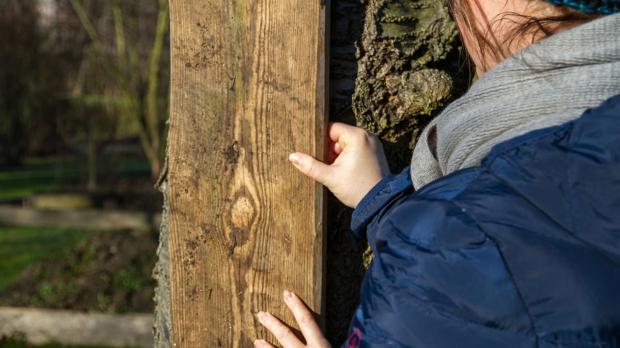 Baumrinde mit Holzbrett vor Frostrissen schützen