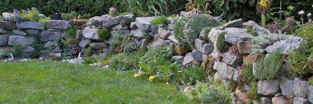 Begrünte Trockenmauer im eigenen Garten