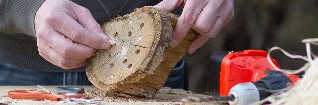 Insektenhotel mit Holzwolle ausstatten