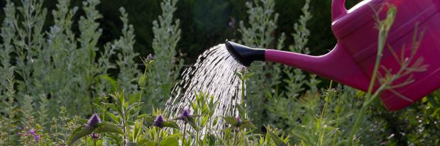 zwei heisse lesben machen liebe im garten zwei heisse lesben machen liebe im garten