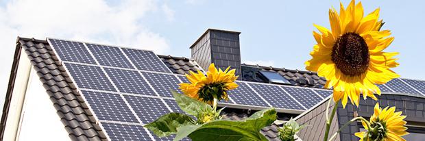 Photovoltaik Eigenverbrauch - PV-Anlage am Dach mit Sonnenblumen davor
