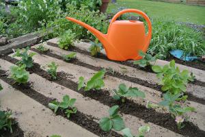 Für Sparfüchse: 5 DIY-Ideen zur Gartengestaltung