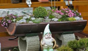 Der Steingarten - Solide Gartengestaltung. Tipps & Tricks vom Gärtner