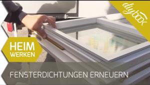 Embedded thumbnail for Fensterdichtungen selbst erneuern